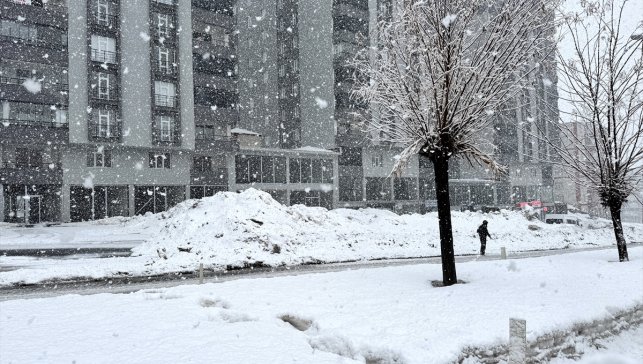 Bitlis'te kar etkili oldu