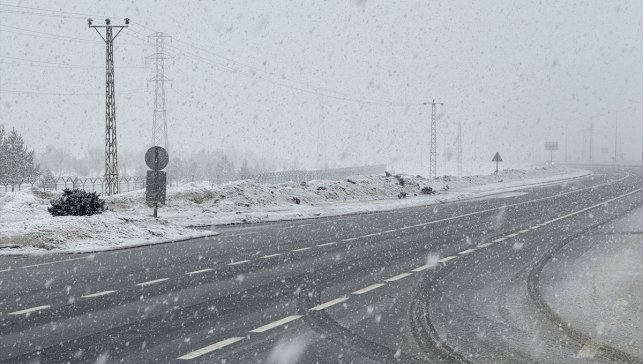Ağrı'da kar etkili oldu