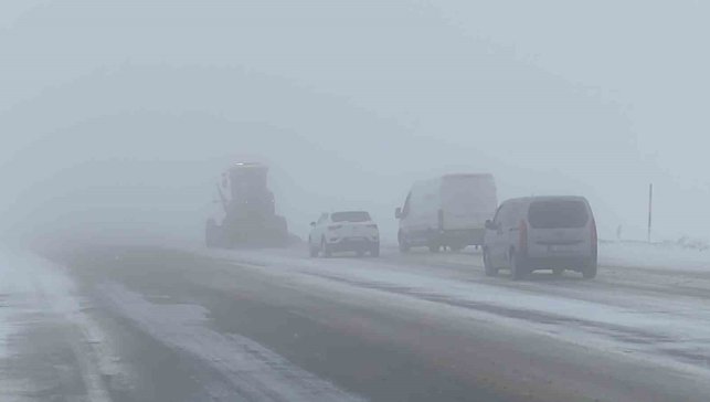 Van'da 40 yerleşim yerinin yolu kapalı
