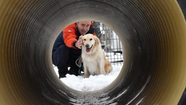 6 ŞUBAT DEPREMLERİNİN ÜÇÜNCÜ YILI - Yaralı patileriyle 6 kişiye umut olan Köpük eğitimlerle yeni görevlere hazırlanıyor