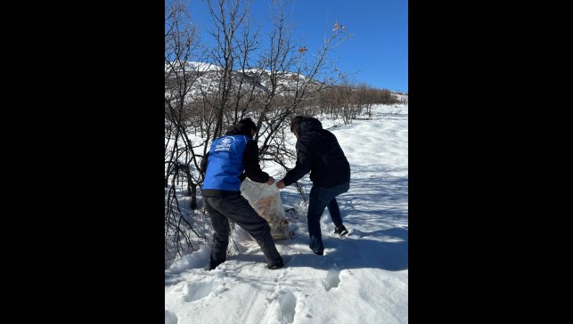 Bingöl'de yaban hayvanları için doğaya yem bırakıldı