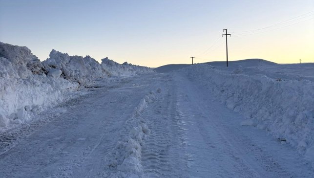 Bitlis'te kardan kapanan köy yolları yeniden açılıyor