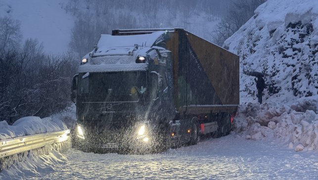 Tunceli'de kar yağışı nedeniyle yolda kalan tır ulaşımı aksattı
