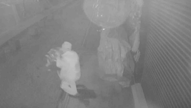 Çaldığı brandayı çöp poşetine sığdıramayınca eliyle taşıyarak götürdü