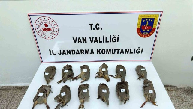 Van'da keklik avlayan kişiye 81 bin TL ceza