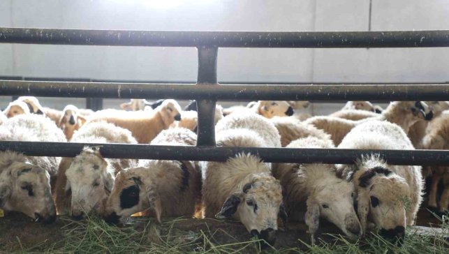 Elazığ'da 6 köy karantinaya alındı