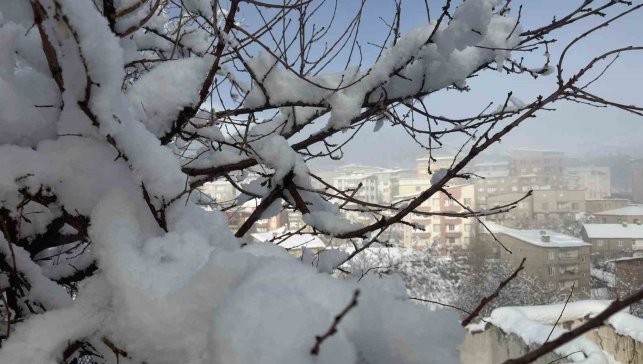 Hakkari'de 144 yerleşim yerinin yolu ulaşıma kapandı