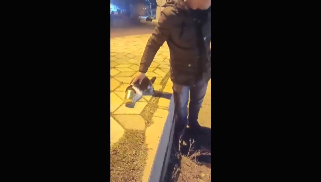 Başına konserve sıkışan kedi kurtarıldı