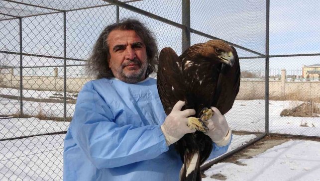 Aylarca tedavi edilen yırtıcı kuşlar yeniden gökyüzüyle buluşuyor