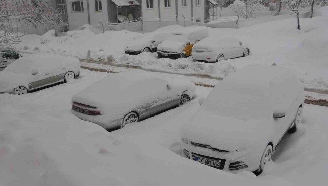 Bitlis'te 165 köy yolu kardan kapandı
