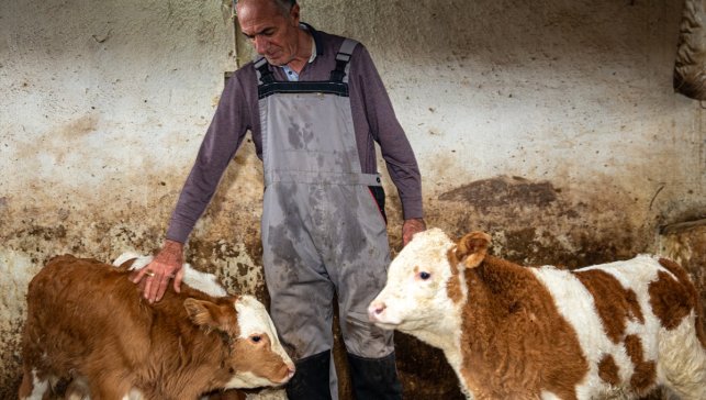 Hayvancılığı bırakacakken devlet desteğiyle eski ahırdan modern tesise adım attı