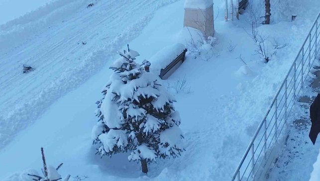 Erciş'te kar yağışı