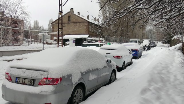 Kars, Ardahan, Tunceli ve Erzurum'da kar yağışı etkili oldu