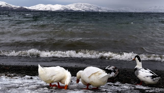 Çevresi karla kaplı Hazar Gölü ziyaretçilerini ağırlıyor