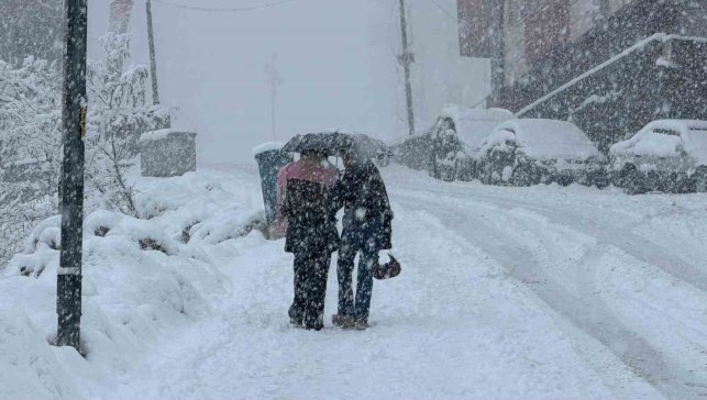 Hakkâri'de kar 20 köy ve 38 mezra yolu ulaşıma kapandı