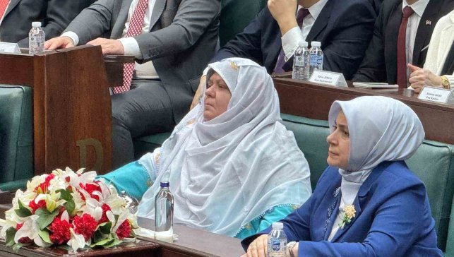 Deprem bölgesi için tarihi finansman modeli