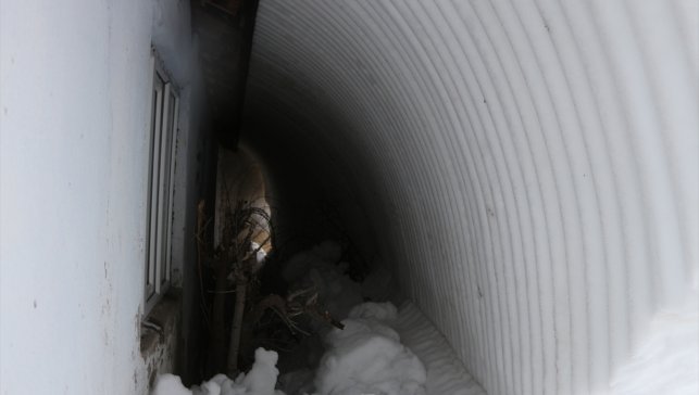 Bingöl'de kar yaşamı olumsuz etkiliyor