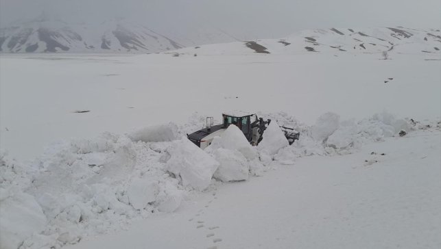Van, Hakkari ve Bitlis'te kar ulaşımı aksattı
