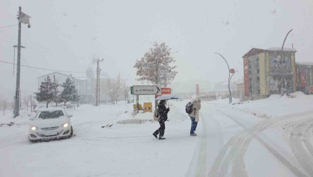 Başkale'de yoğun kar yağışı
