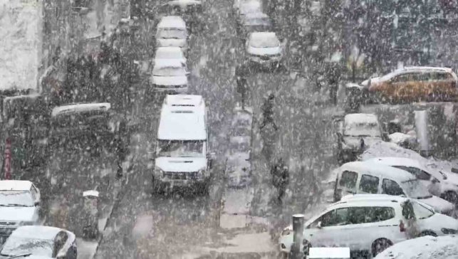 Van'da yoğun kar yağışı etkili oldu