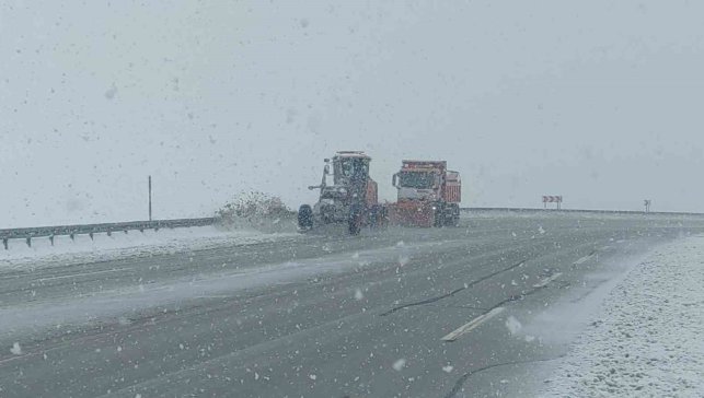 Van'ın yüksek kesimlerde lapa lapa kar yağdı