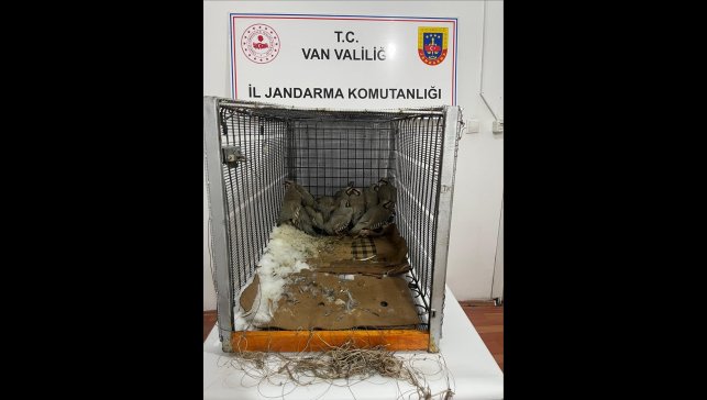 Van'da bahçesinde 14 kınalı keklik yakalanan kişiye 75 bin 303 lira ceza verildi