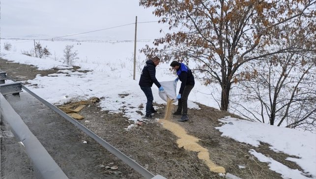 Van'da yaban kuşları için doğaya 1,5 ton buğday bırakıldı