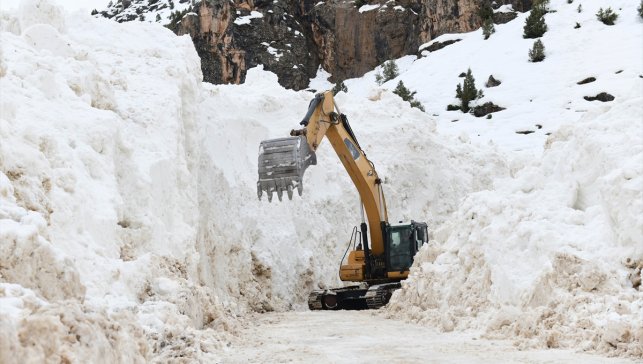 Van'da çığ nedeniyle 12 gündür kapalı olan yol açıldı