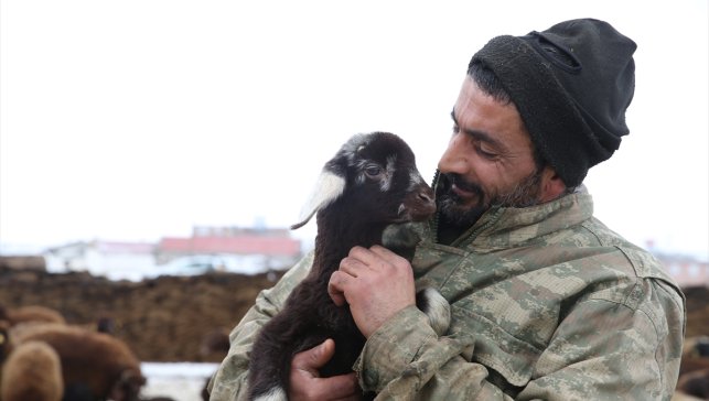 İzmir'de pastane işletirken Kars'taki köyüne dönen gurbetçi, devlet desteğiyle sürü sahibi oldu