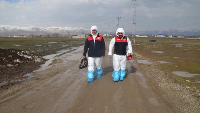 Muş'ta şap hastalığına karşı ilkbahar dönemi aşılama çalışmaları başladı