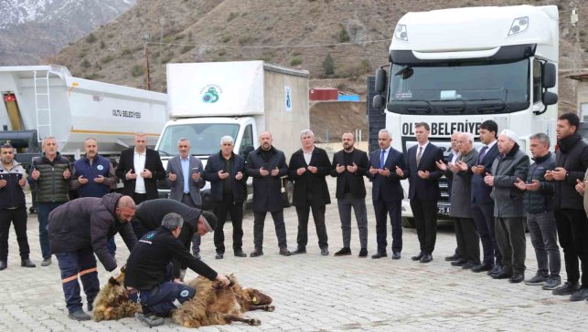 Oltu Belediyesi araç filosunu güçlendirdi