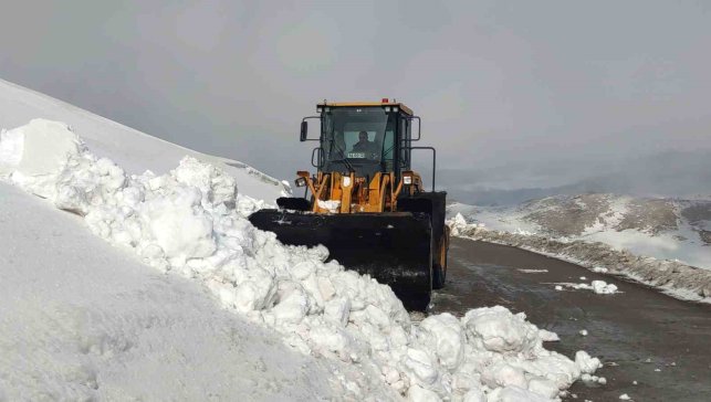 Van'da kar nedeniyle kapanan 67 yerleşim yerinin yolu açılıyor