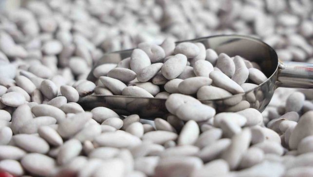 Ramazan soflarının vazgeçilmezi 'Badem Şekerine' yoğun talep