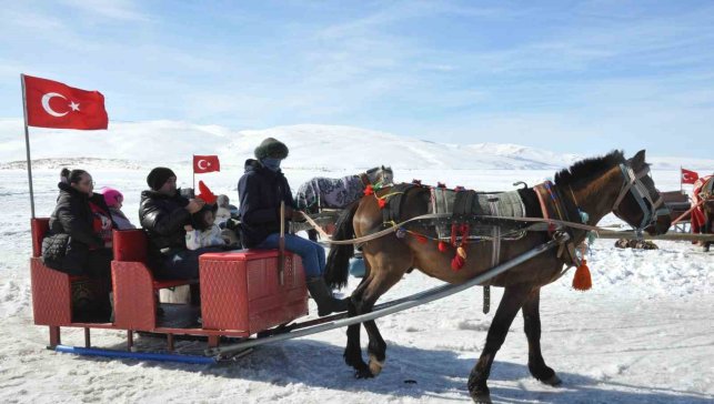 Kars Çıldır Gölü'nde dörtnala atlı kızak safarileri nefes kesiyor