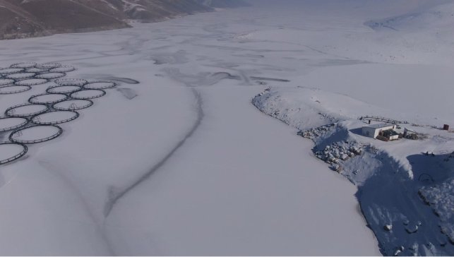 Van'da Sibirya soğukları: Dev barajlar buz tuttu