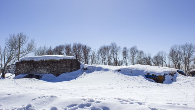 Erzurum, Kars, Ağrı ve Ardahan'da kar etkili oldu