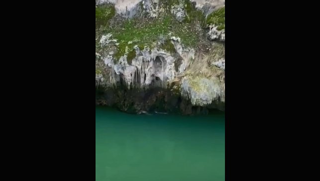 Karakoçan'da su samurları görüntülendi