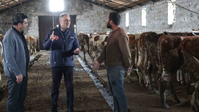 Kars Tarım ve Orman Müdürlüğü sahada: Bayraktar Köyü'nde büyükbaş işletmesine ziyaret