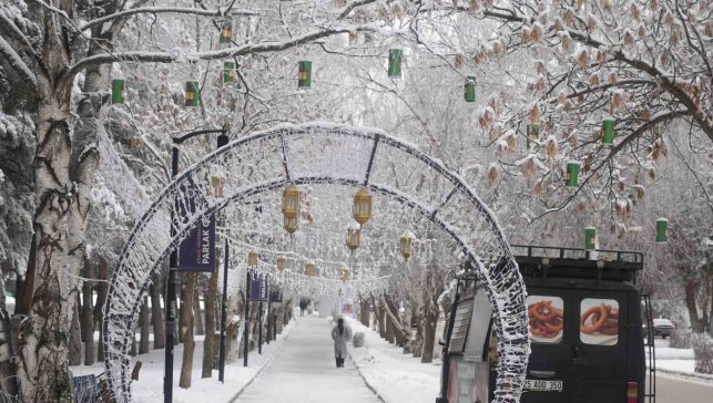 Erzurum'da soğuk havanın etkisiyle ağaçlar kırağı tuttu