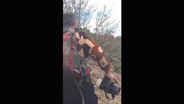 Kuş gözlemi için çıktığı arazide ayı ile karşı karşıya kaldı... Korku dolu anlar kamerada