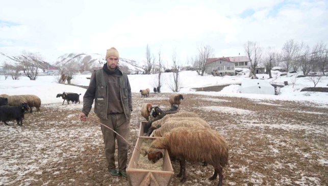 Muş'ta kış ve bahar aynı anda yaşanıyor