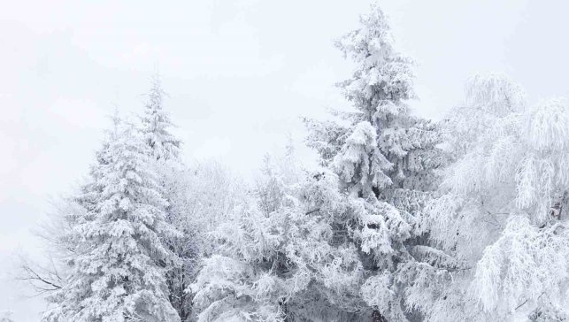 Erzincan için kuvvetli kar yağışı uyarısı