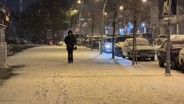 Erzurum'da kar yağışı etkili oldu