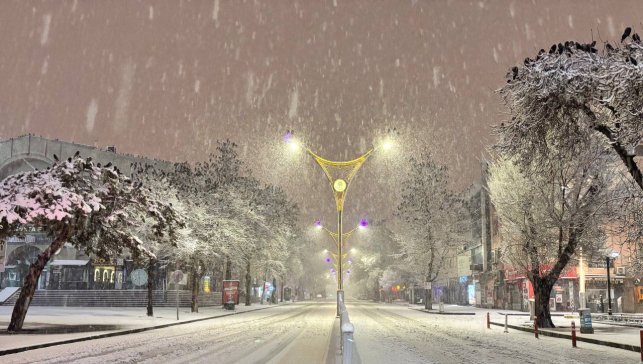 Erzincan'da kar yağışı hayatı olumsuz etkiledi