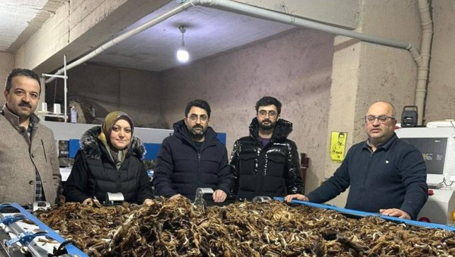 Erzurum'da atık yünler yeşil dönüşümle değer kazanıyor