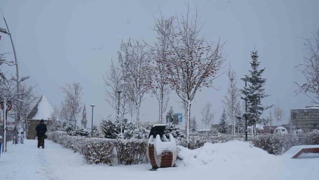 Erzurum'da kar yağışı etkili oluyor