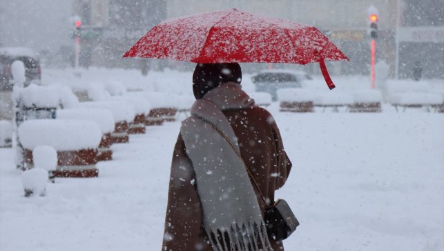 Erzurum, Ardahan, Tunceli, Kars ve Erzincan'da kar etkili oldu