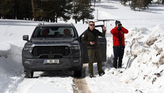 Kars'ta uydu vericisi takılan kurtların kardaki izleri inceleniyor