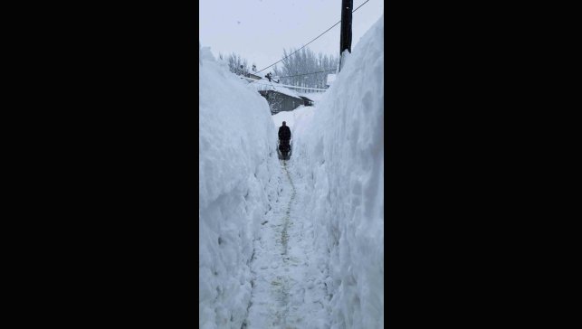 Tunceli'de kar kalınlığı insan boyunu geçti