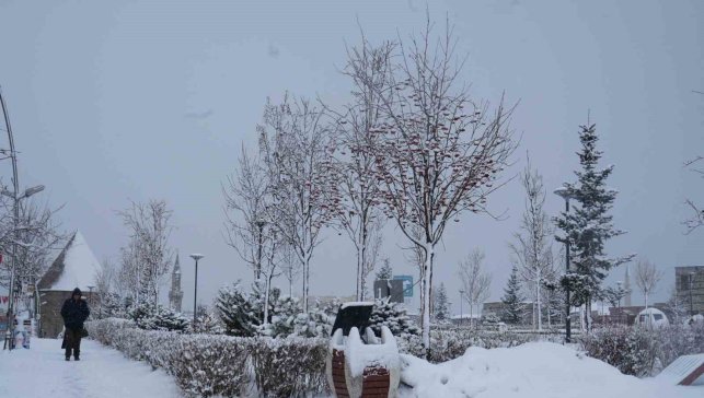 Erzurum, Erzincan ve Bayburt için kar uyarısı
